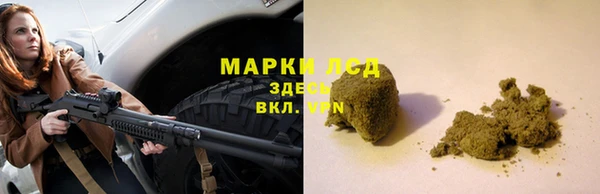 индика Алзамай