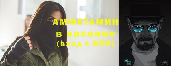 индика Алзамай