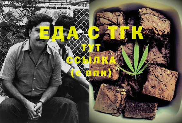 индика Алзамай