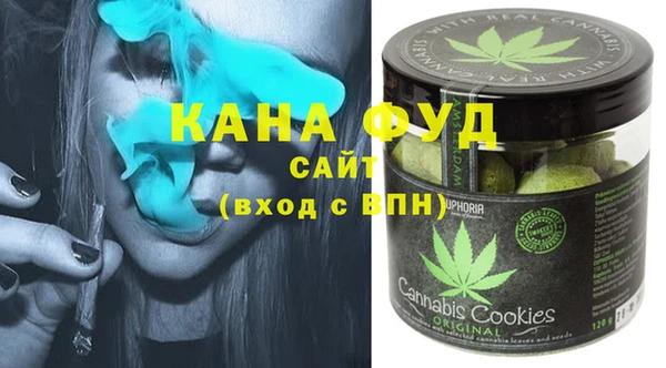 индика Алзамай